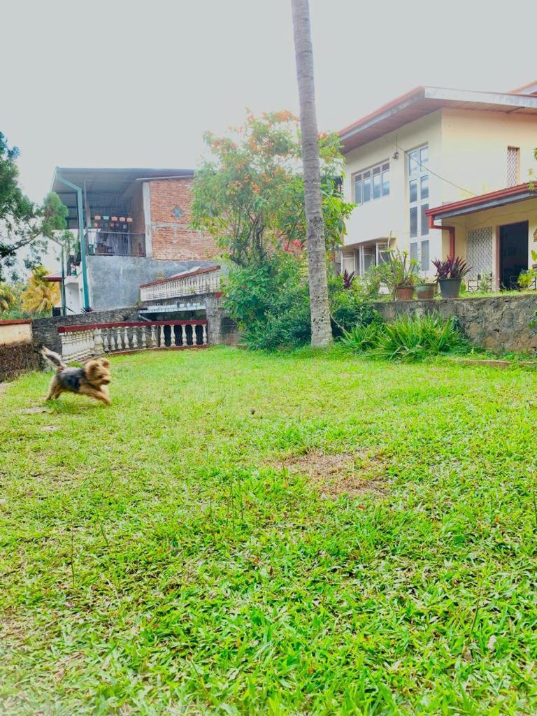 No 06 Veediya Bandara Lane Bahirawakanda Kandy Kültér fotó